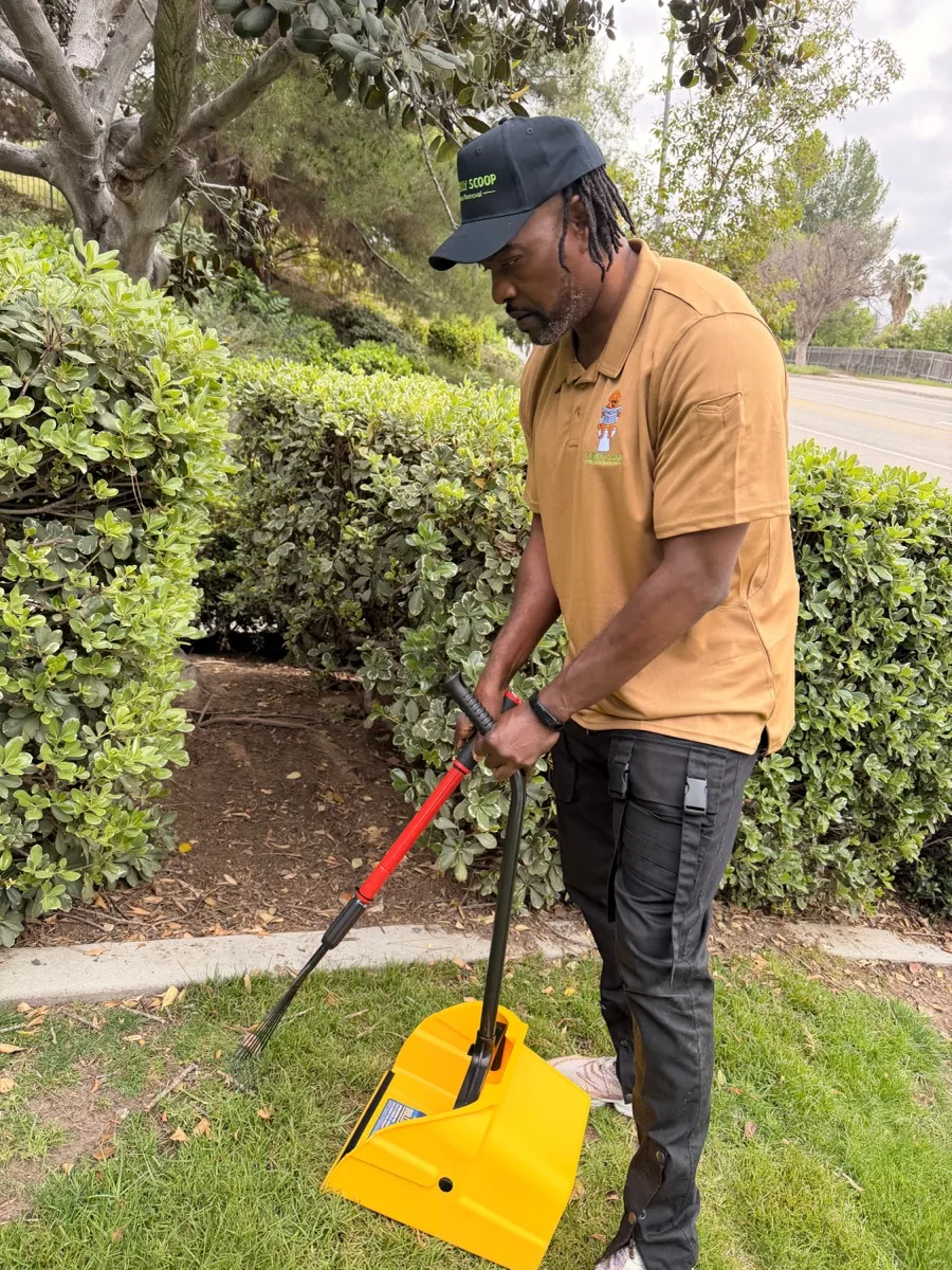 Malcolm scooping a Woodland Hills backyard with a long-handled scooper and pan